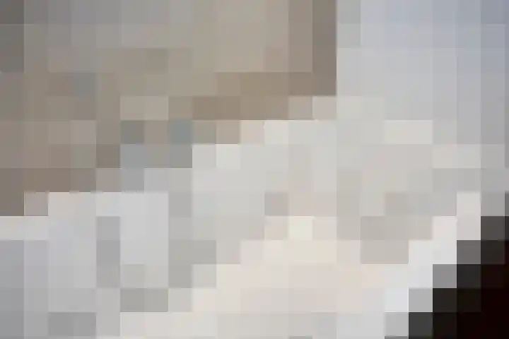 Schuttebreek 10 Landsmeer thumbnail 23