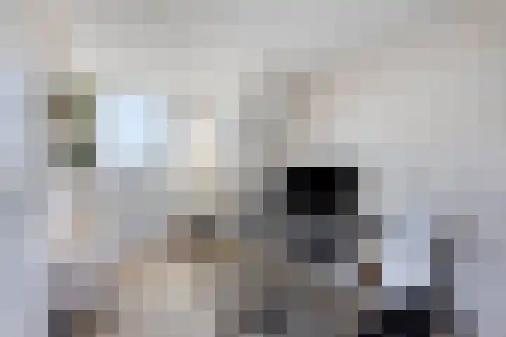 Schuttebreek 10 Landsmeer thumbnail 25