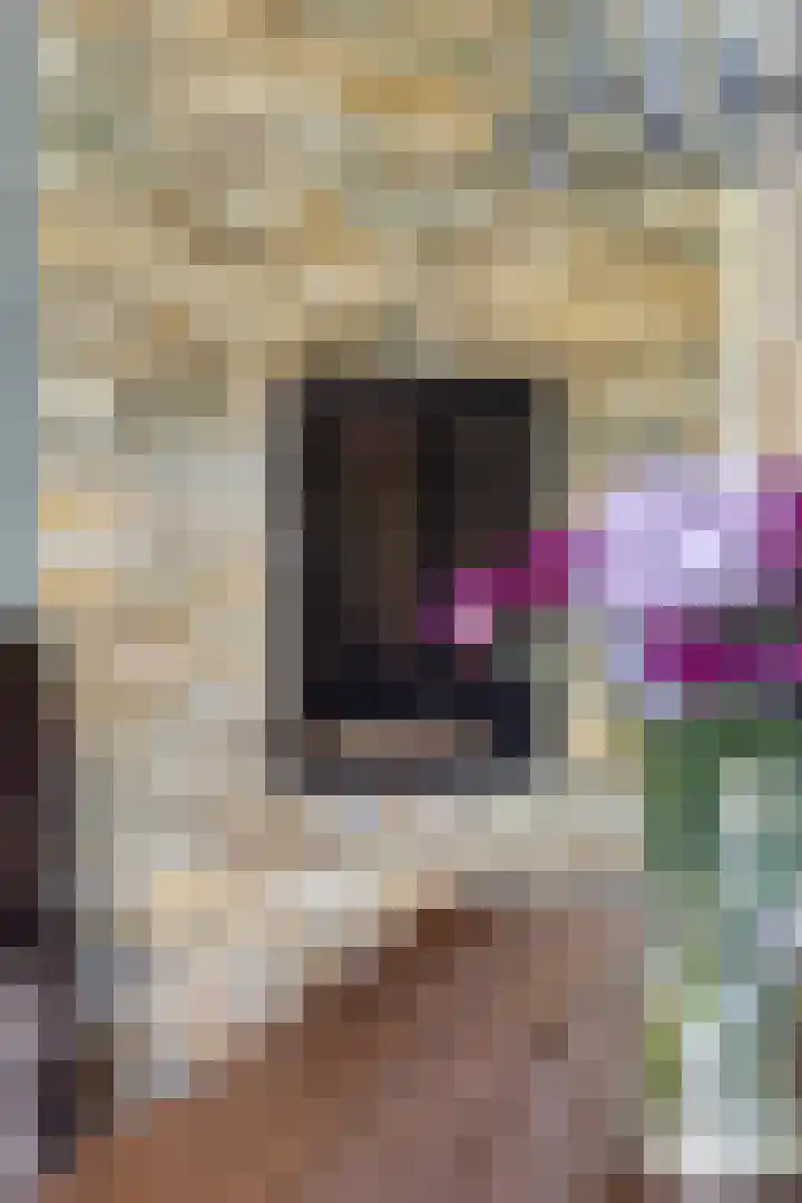 Schuttebreek 10 Landsmeer thumbnail 38