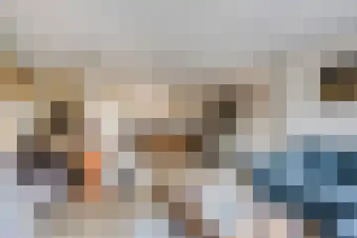 Schuttebreek 10 Landsmeer thumbnail 4