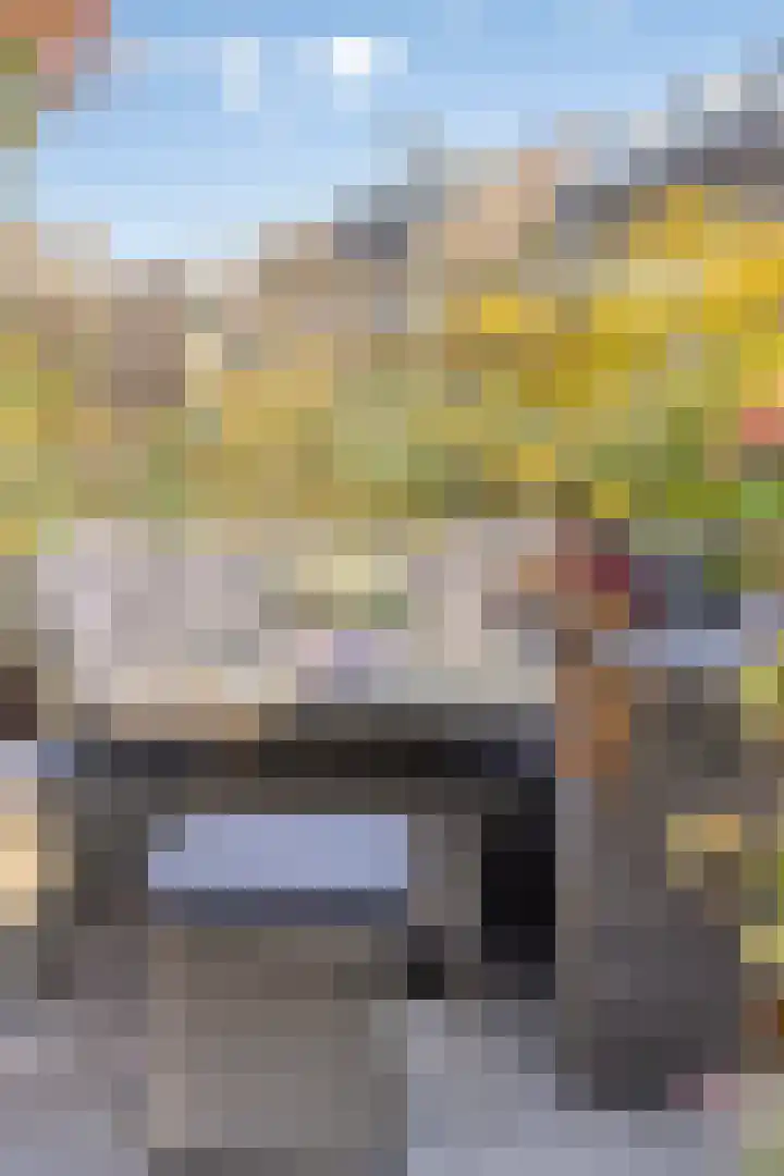 Schuttebreek 10 Landsmeer thumbnail 45