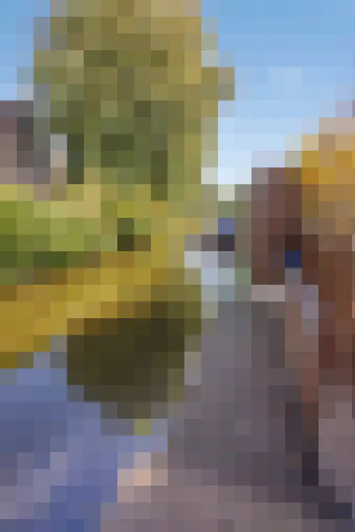 Schuttebreek 10 Landsmeer thumbnail 46