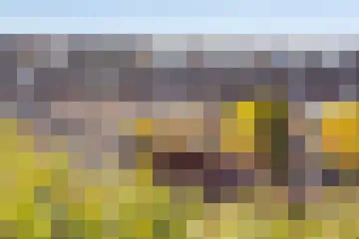 Schuttebreek 10 Landsmeer thumbnail 47