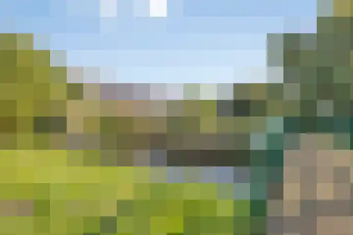 Schuttebreek 10 Landsmeer thumbnail 49