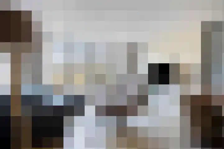 Schuttebreek 10 Landsmeer thumbnail 5