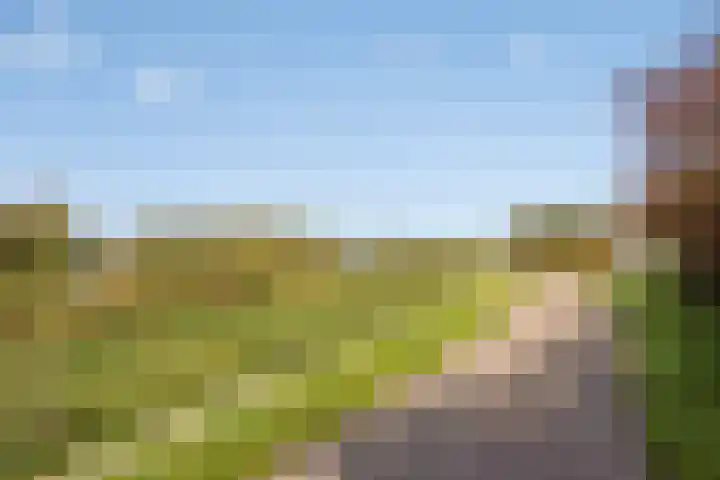 Schuttebreek 10 Landsmeer thumbnail 50