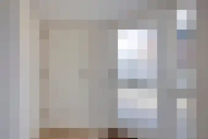 Schuttebreek 10 Landsmeer thumbnail 9
