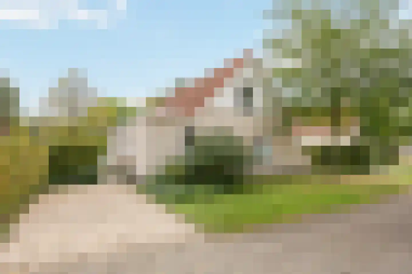 Schutteheide 1 155 Heel