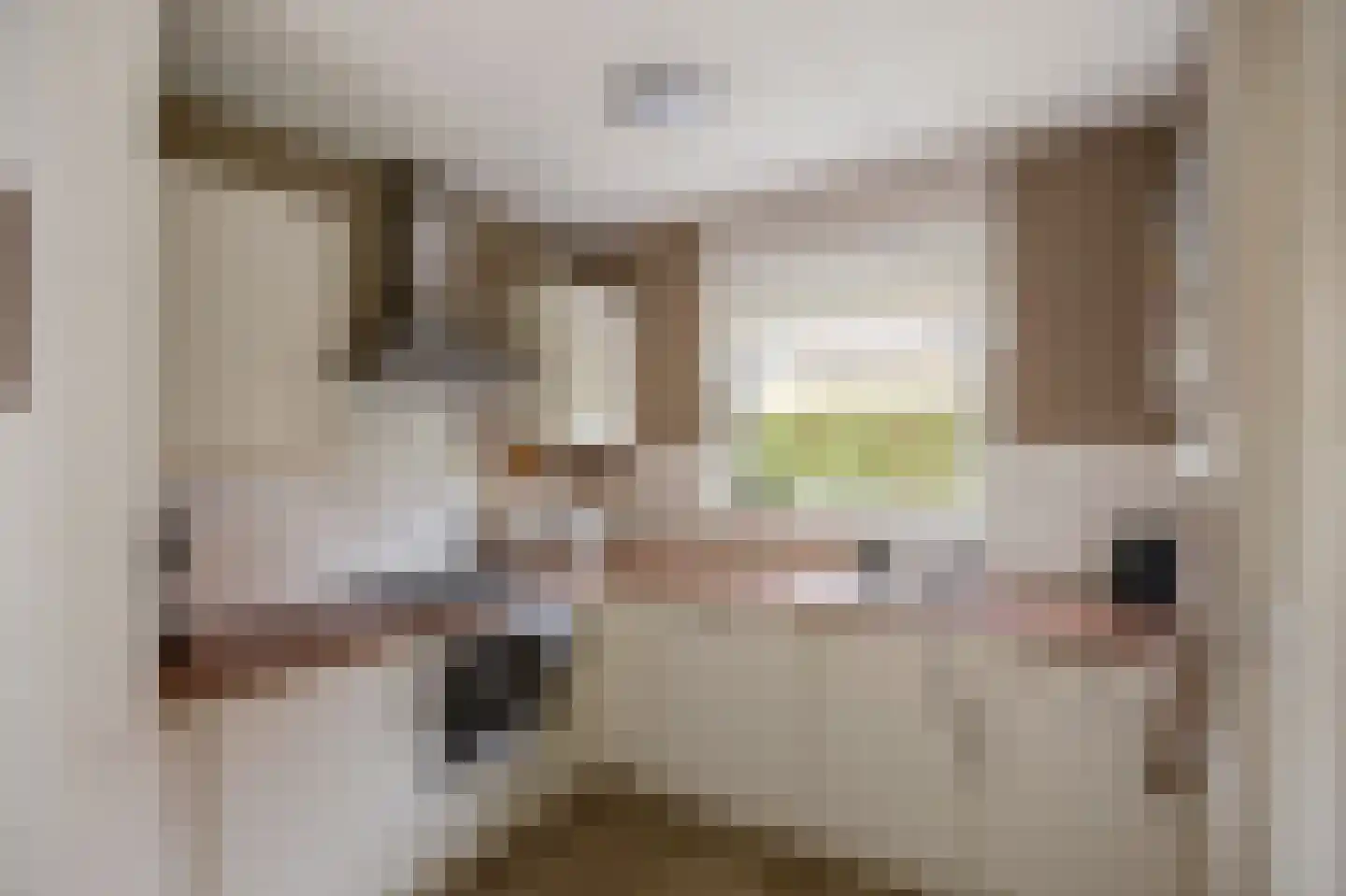 Schutteheide 1 155 Heel thumbnail 11