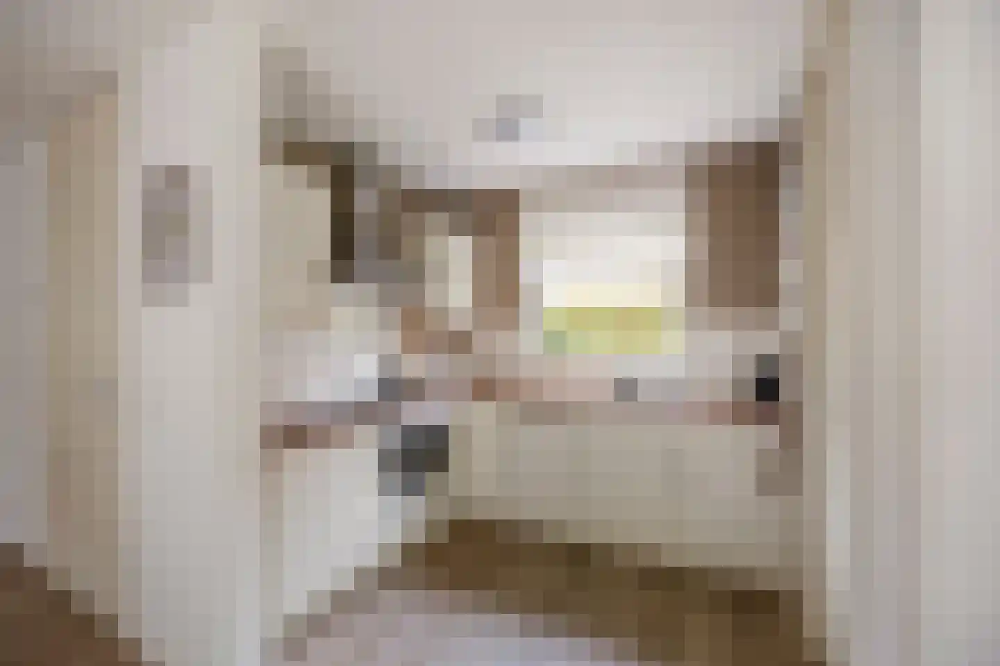 Schutteheide 1 155 Heel thumbnail 13