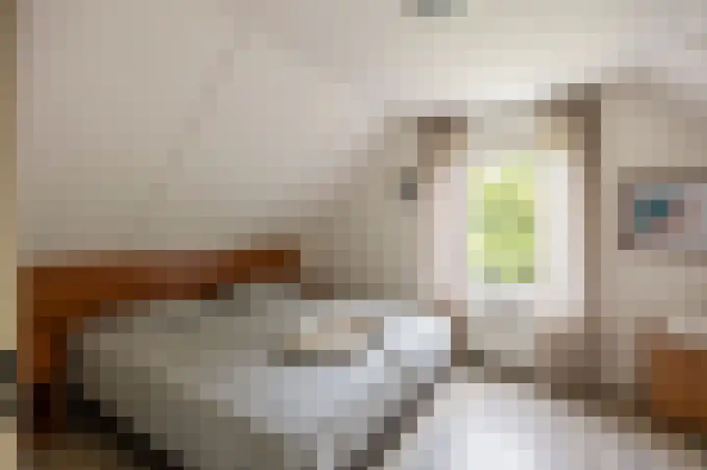 Schutteheide 1 155 Heel thumbnail 23