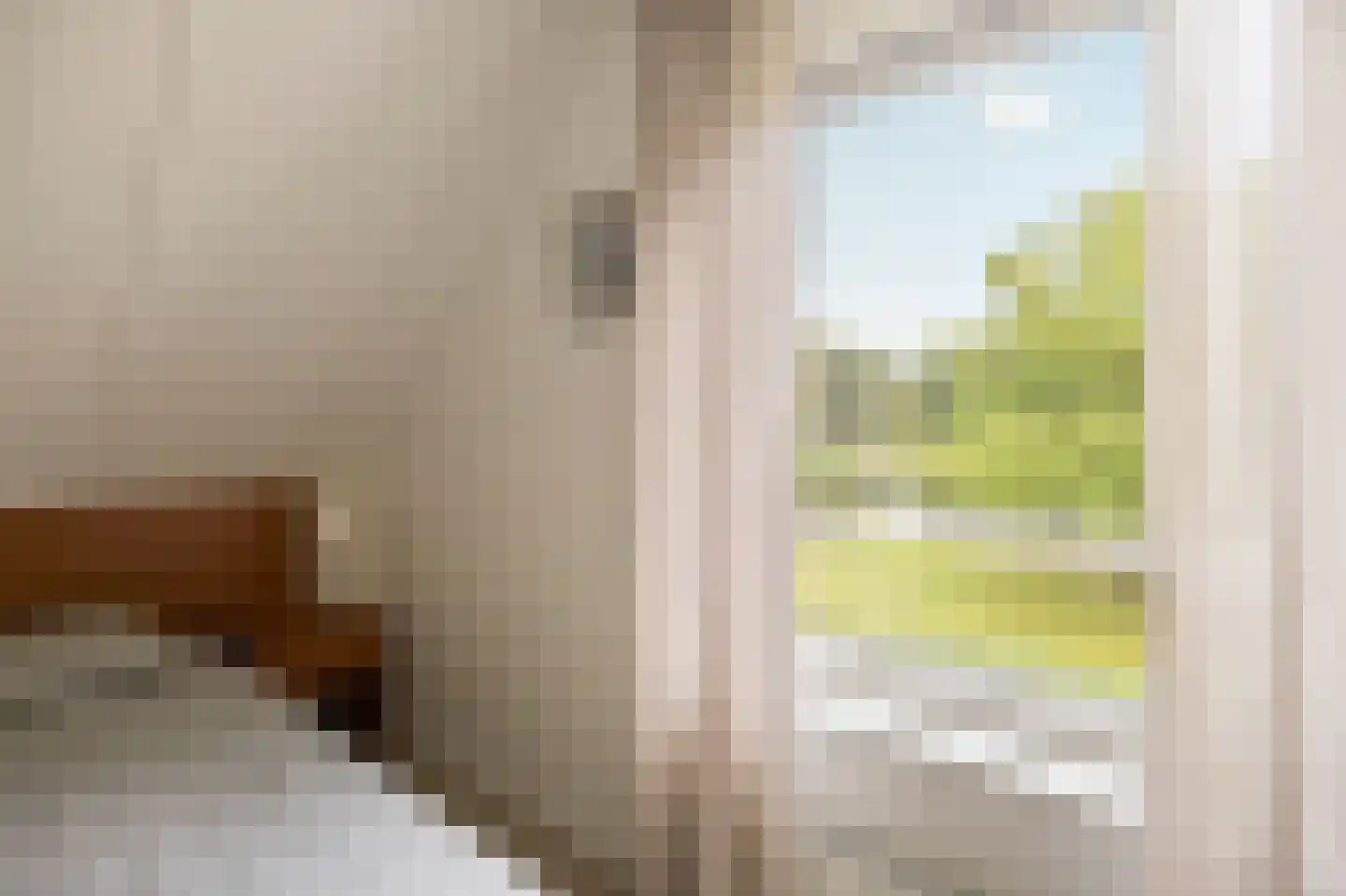 Schutteheide 1 155 Heel thumbnail 24