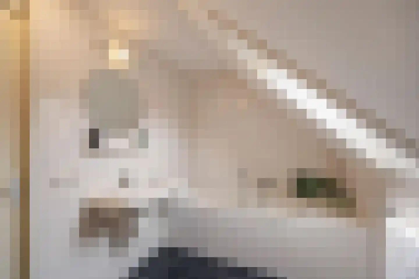 Schutteheide 1 155 Heel thumbnail 27