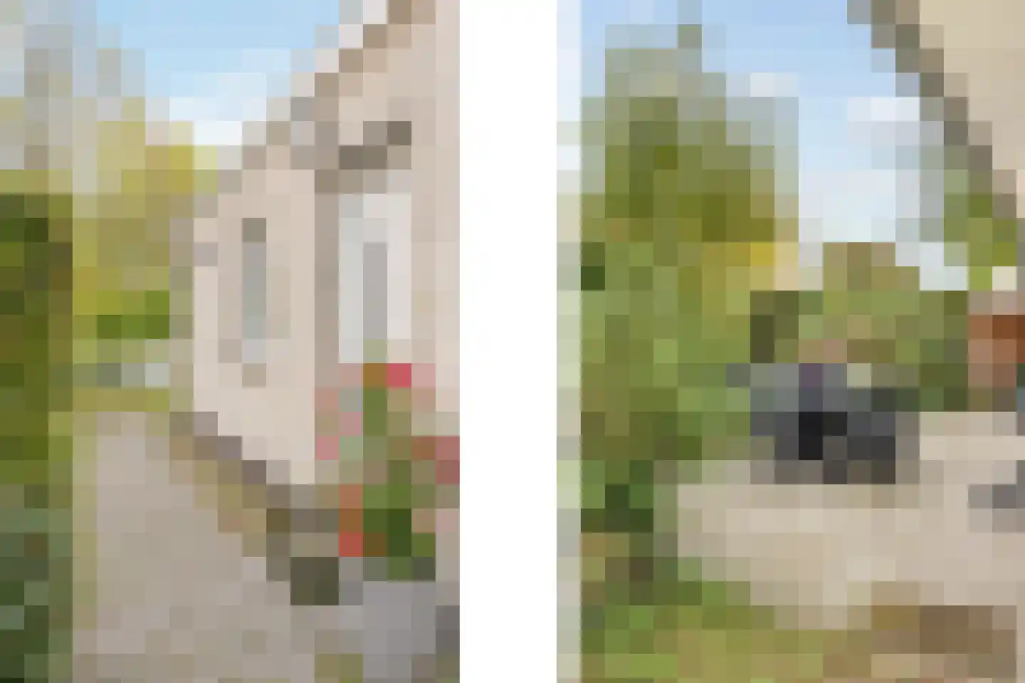 Schutteheide 1 155 Heel thumbnail 29