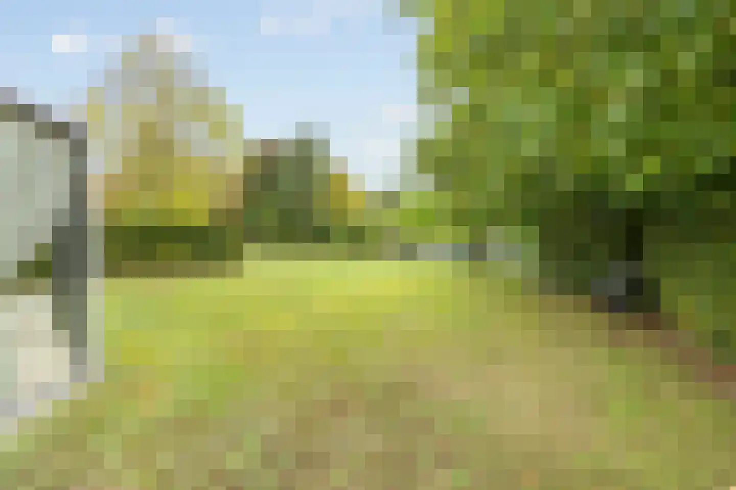Schutteheide 1 155 Heel thumbnail 32