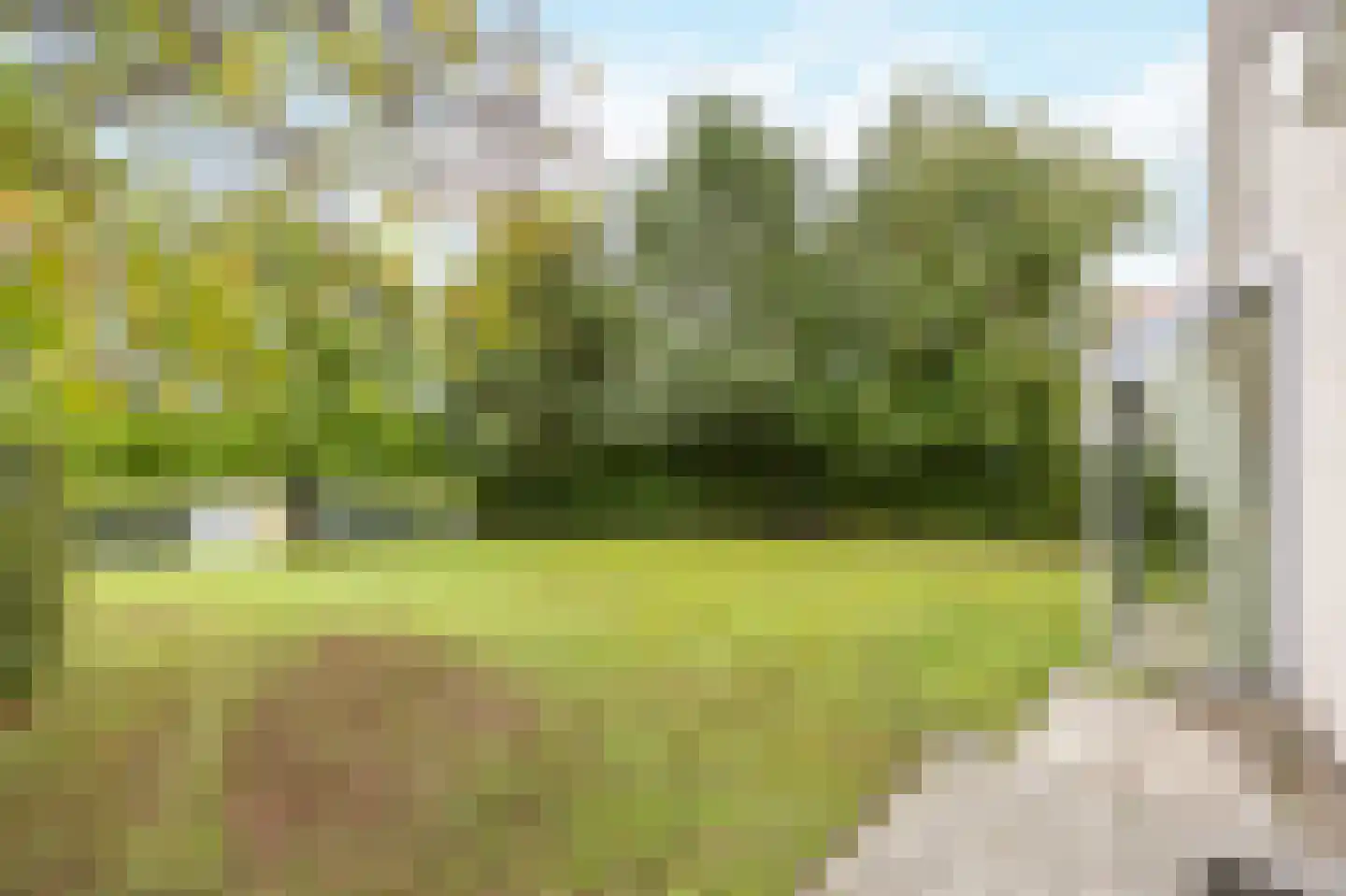 Schutteheide 1 155 Heel thumbnail 33