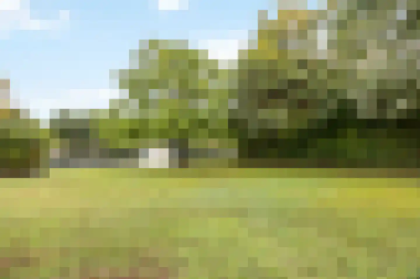 Schutteheide 1 155 Heel thumbnail 34