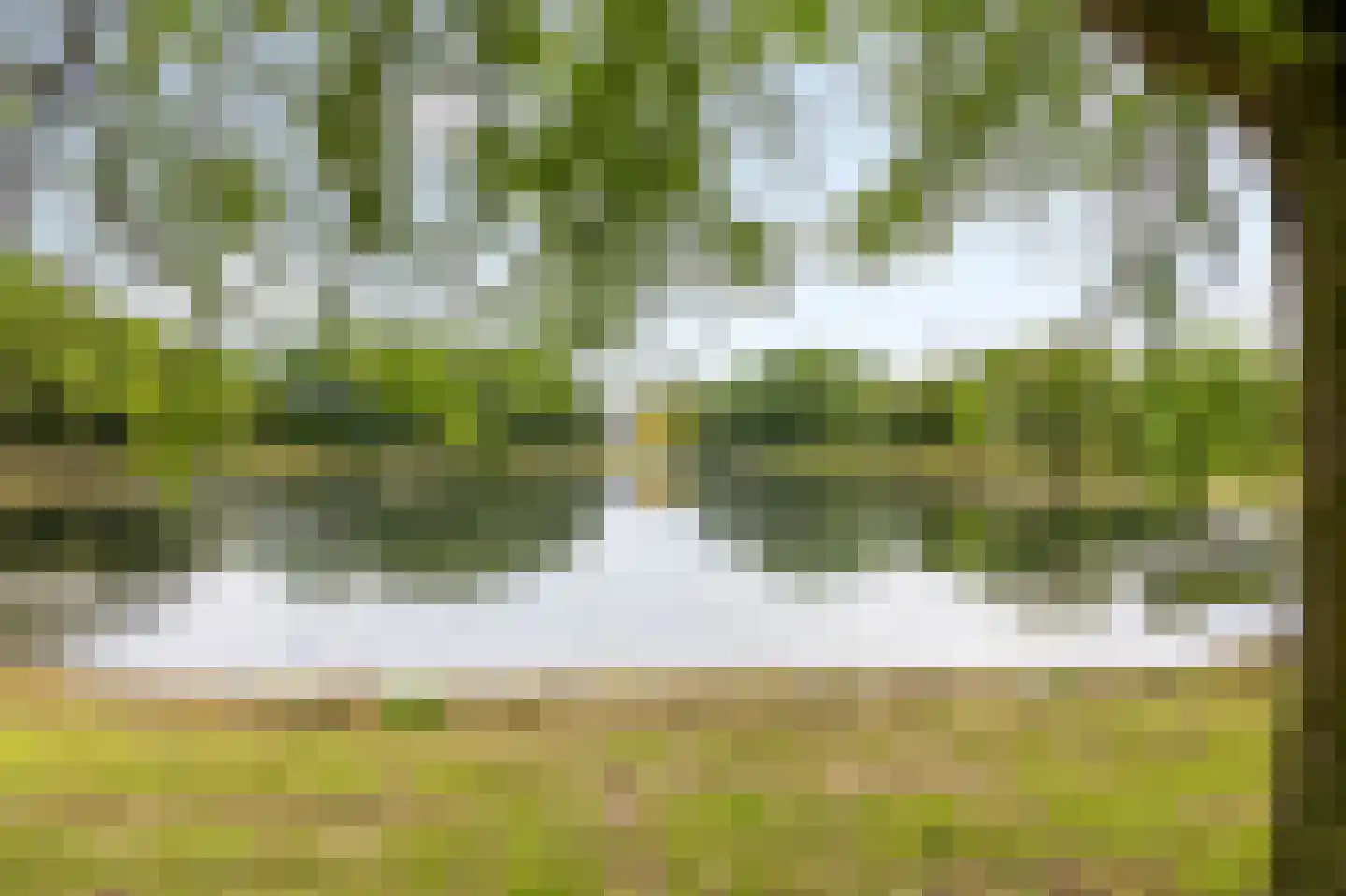 Schutteheide 1 155 Heel thumbnail 35