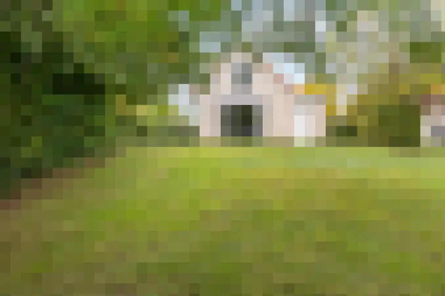 Schutteheide 1 155 Heel thumbnail 38