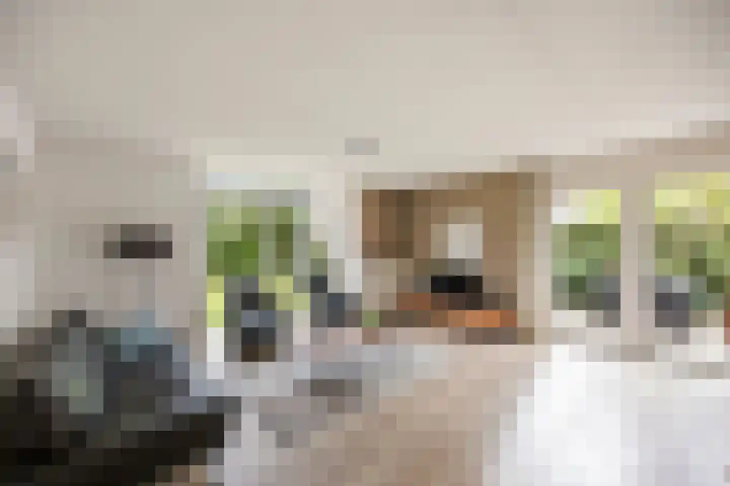 Schutteheide 1 155 Heel thumbnail 7