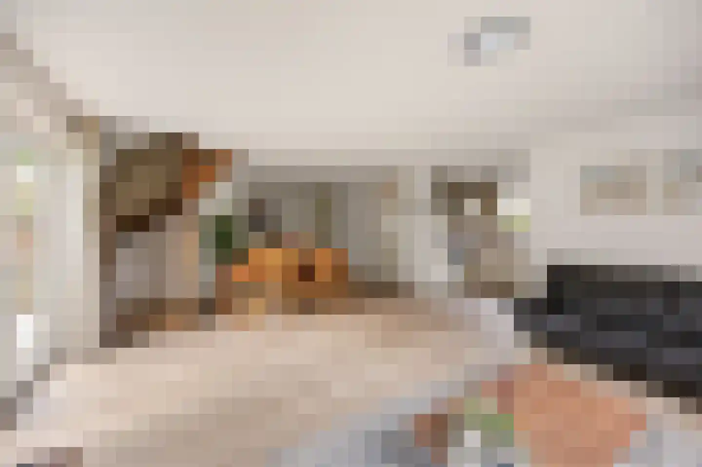 Schutteheide 1 155 Heel thumbnail 9