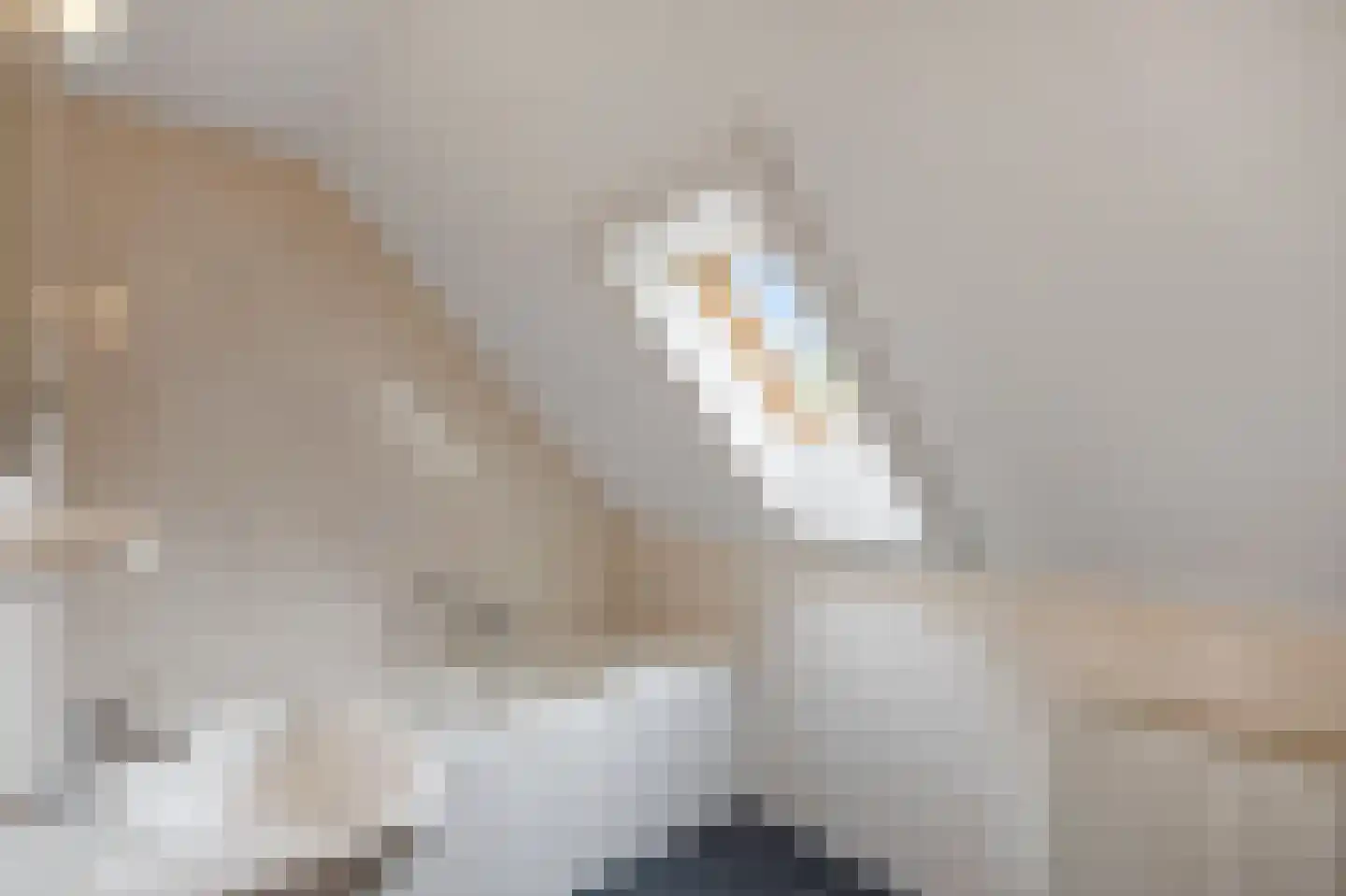 Schutteheide 1 176 Heel thumbnail 19