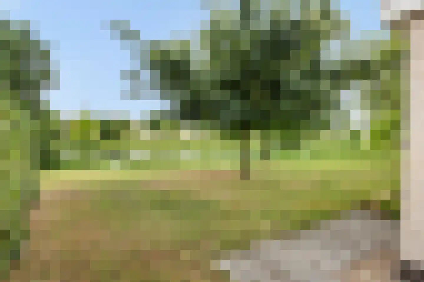 Schutteheide 1 176 Heel thumbnail 23