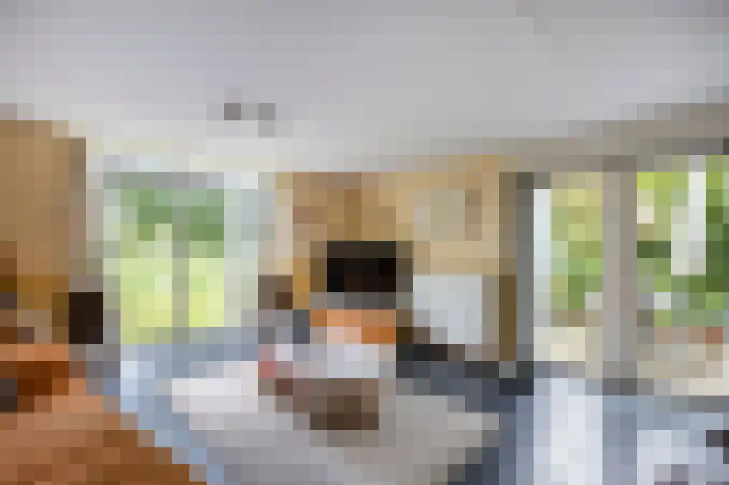 Schutteheide 1 176 Heel thumbnail 4