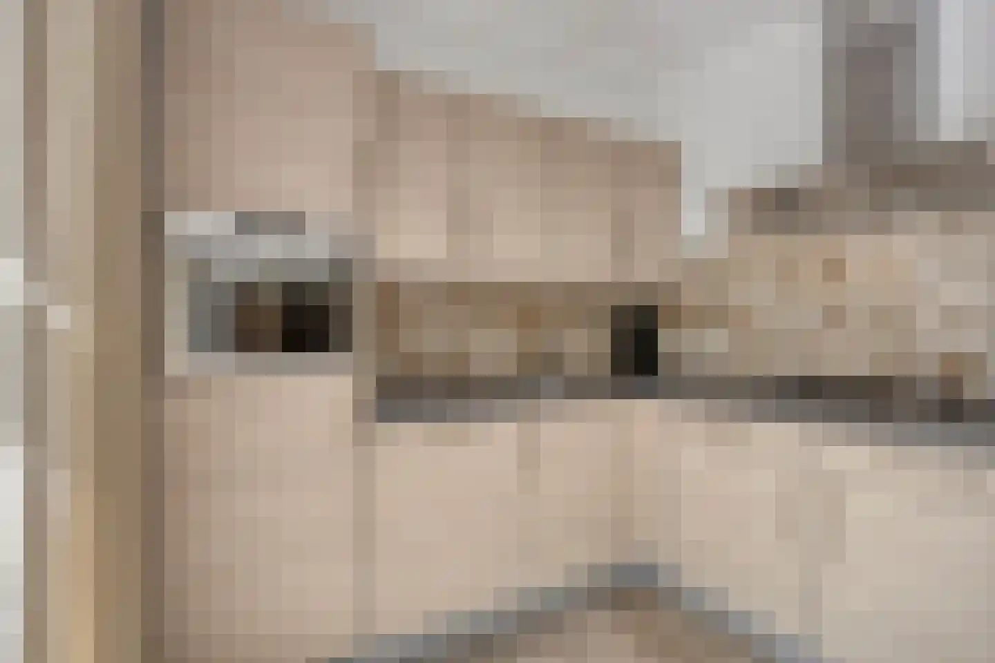 Schutteheide 1 210 Heel thumbnail 11