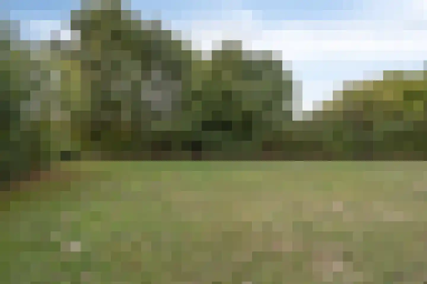Schutteheide 1 210 Heel thumbnail 27