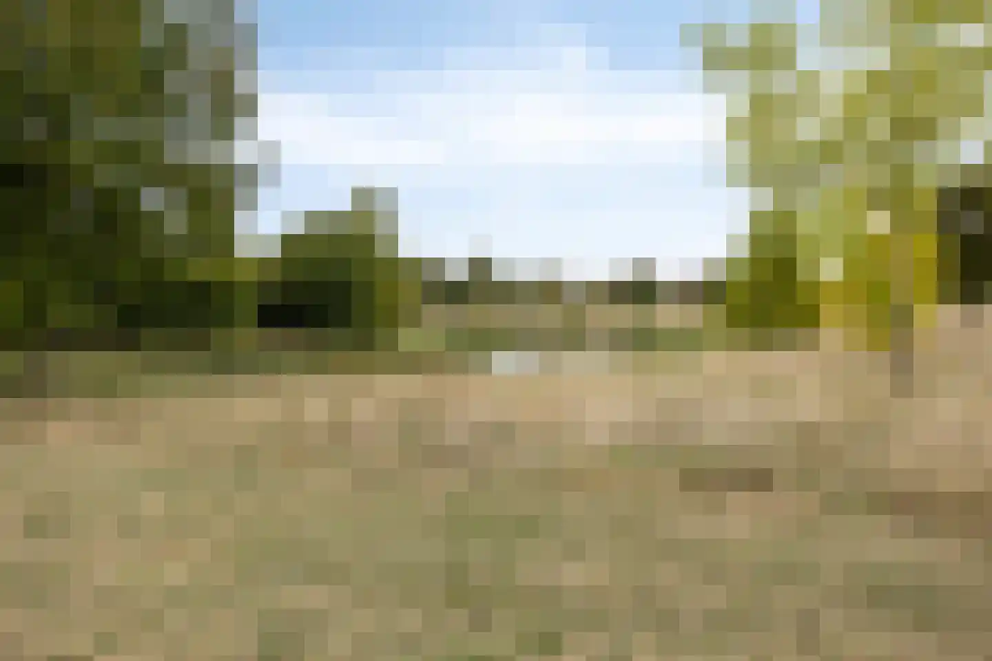 Schutteheide 1 210 Heel thumbnail 29