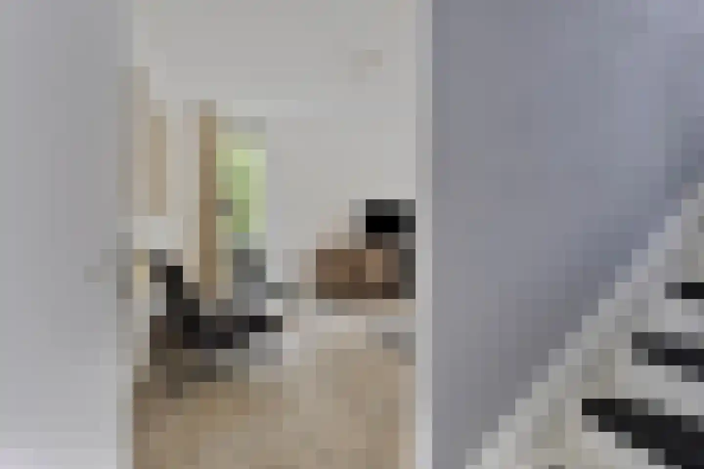Schutteheide 1 210 Heel thumbnail 8