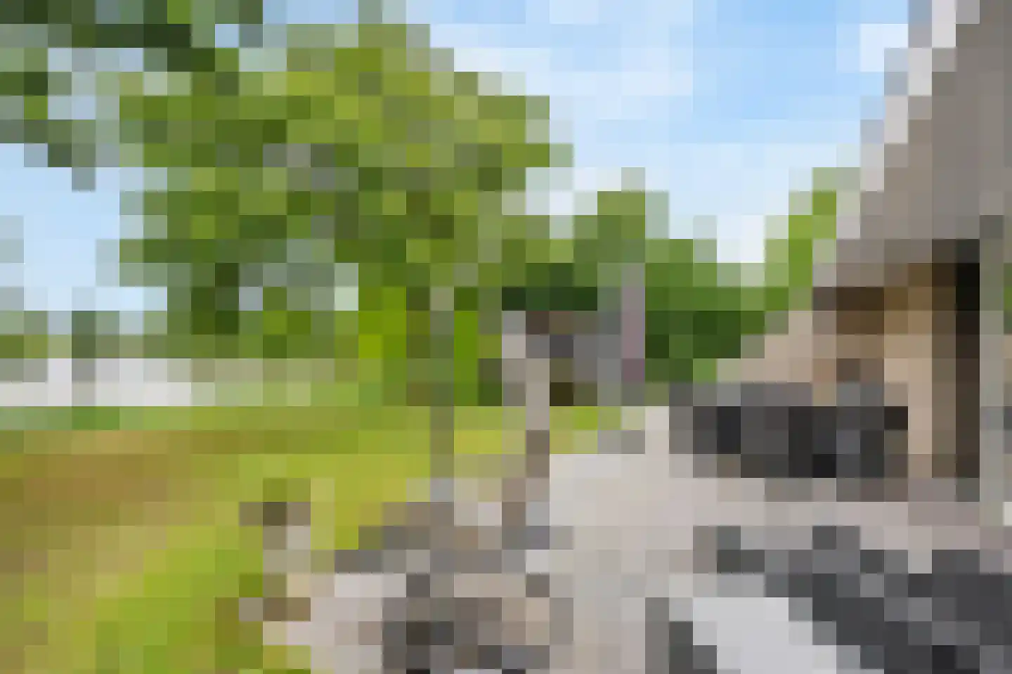 Schutteheide 1 216 Heel thumbnail 25