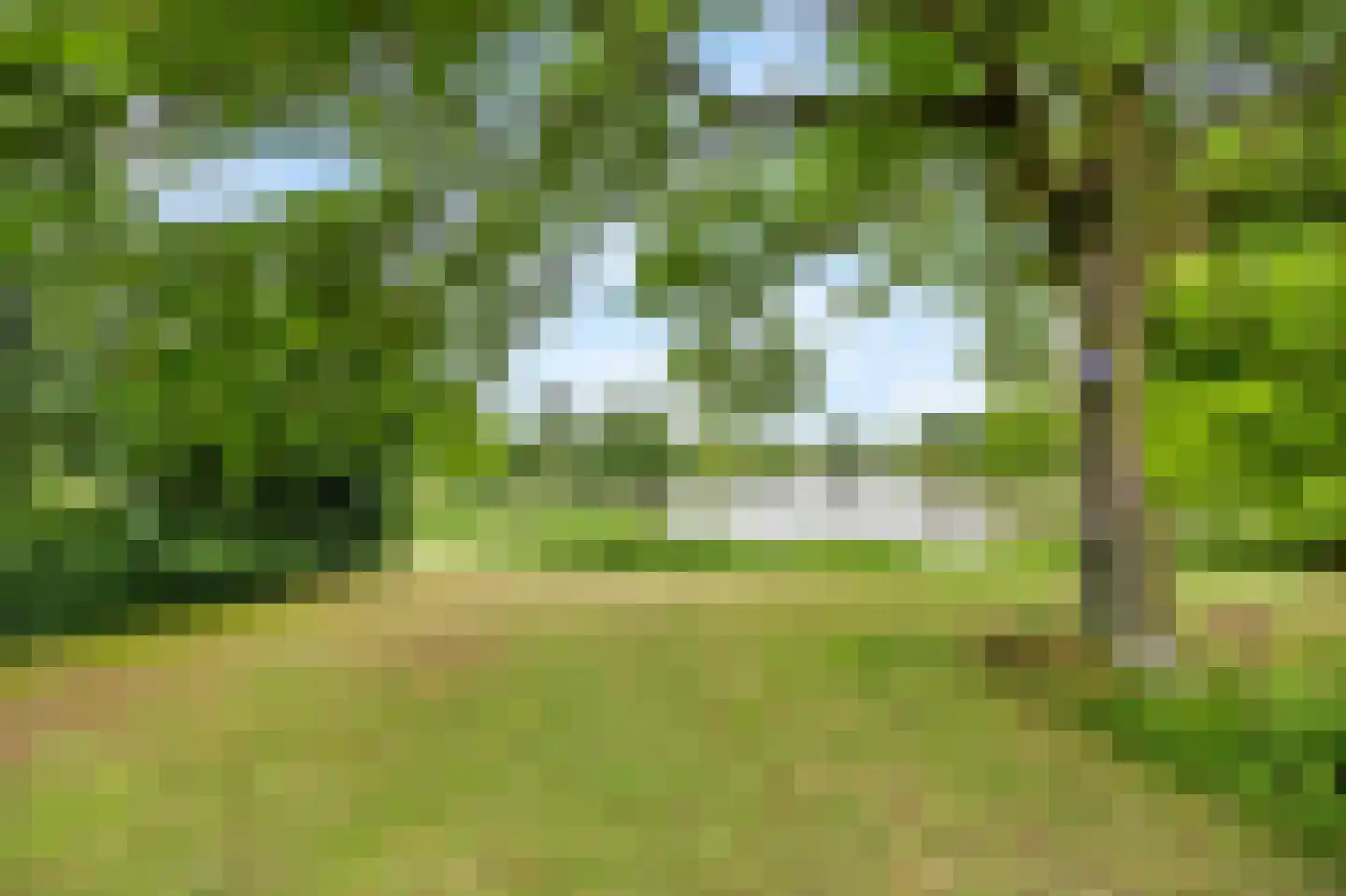 Schutteheide 1 216 Heel thumbnail 26