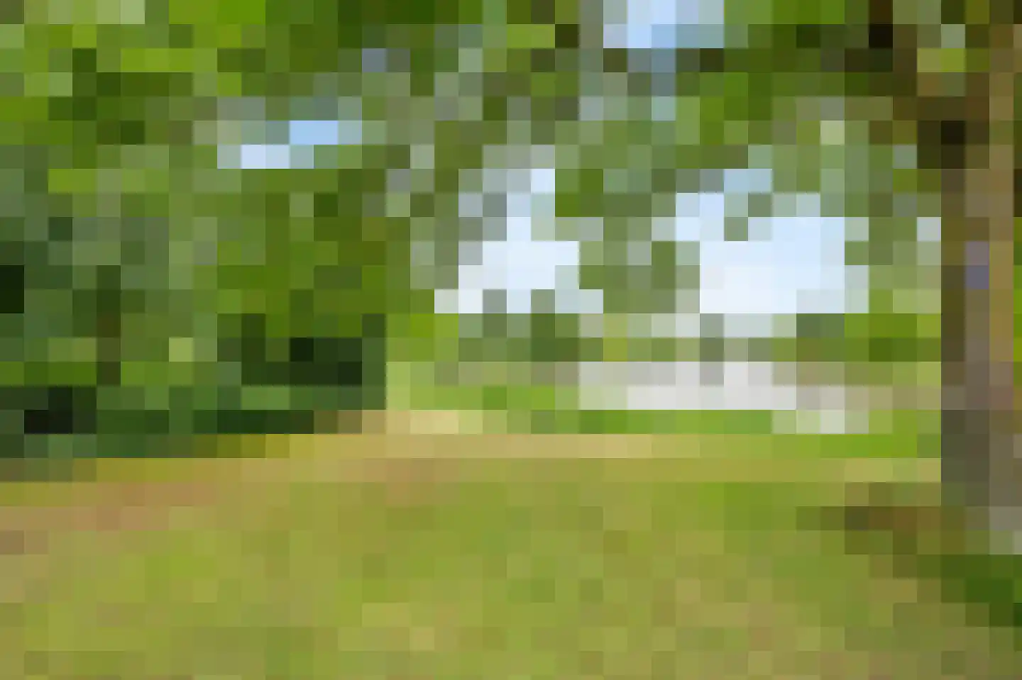 Schutteheide 1 216 Heel thumbnail 27