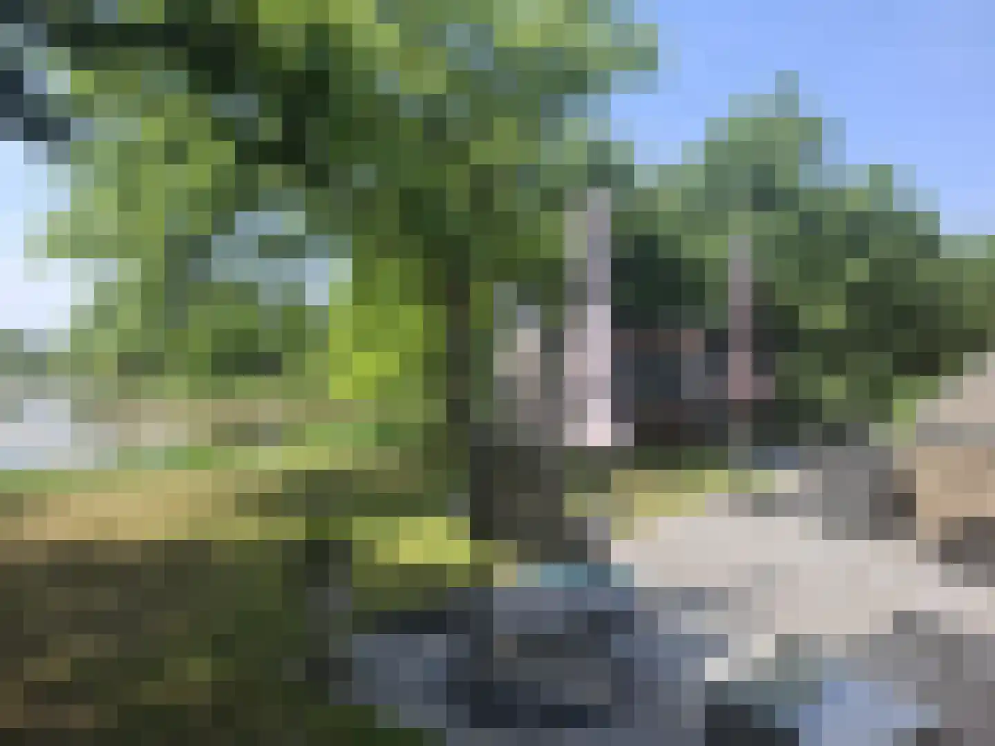 Schutteheide 1 216 Heel thumbnail 4