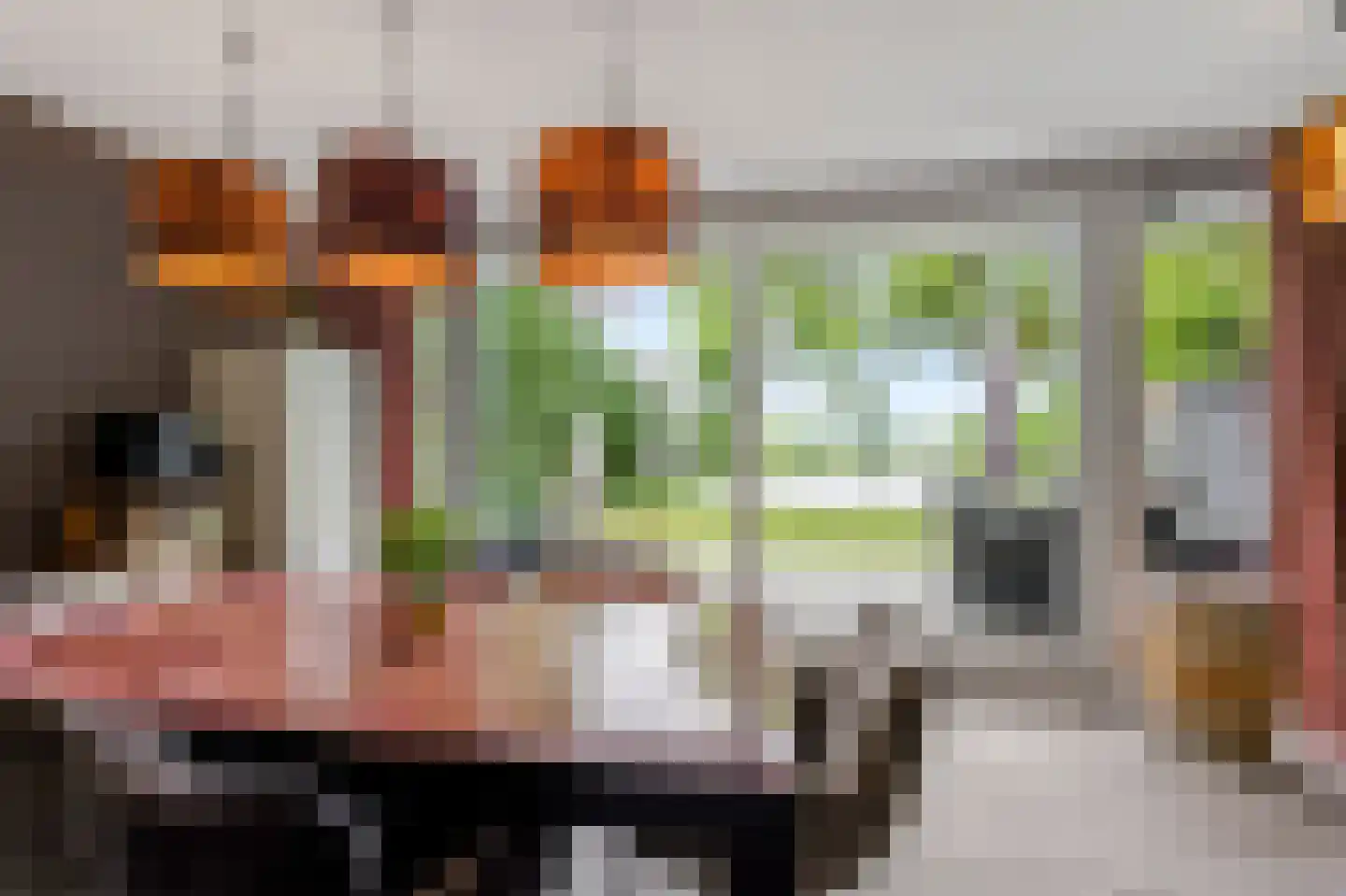 Schutteheide 1 216 Heel thumbnail 7