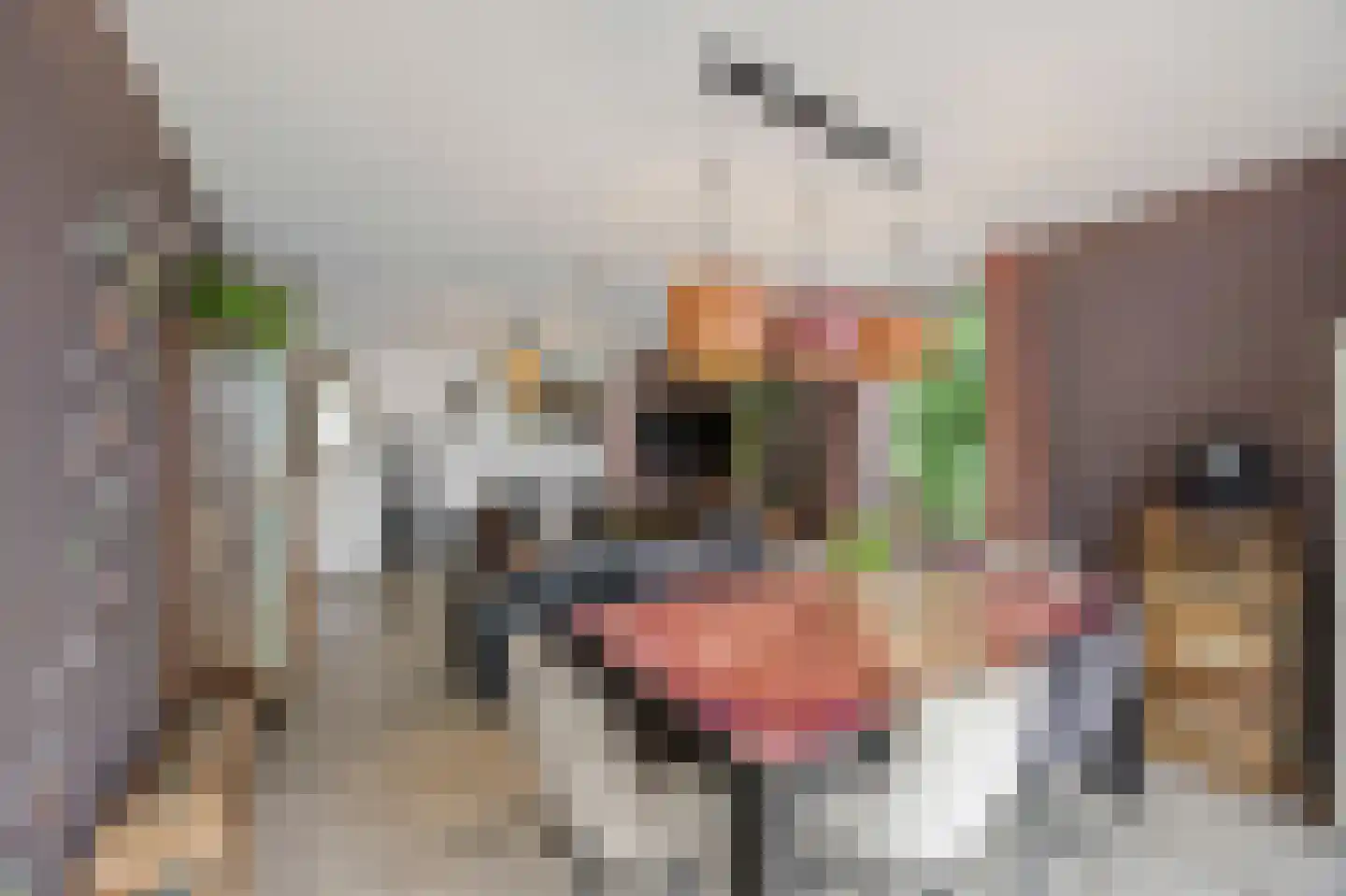Schutteheide 1 216 Heel thumbnail 8