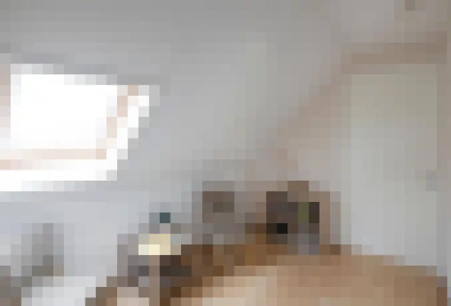 Schutteheide 1 218 Heel thumbnail 22