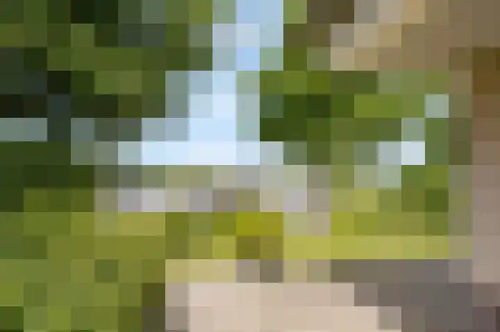Schutteheide 1 26 Heel thumbnail 10