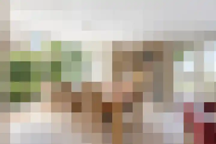 Schutteheide 1 26 Heel thumbnail 6