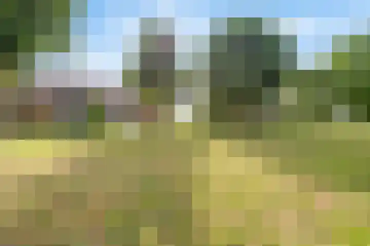 Schutteheide 1 26 Heel thumbnail 8