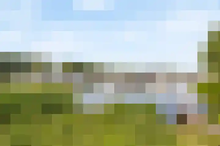 Schutteheide 1 26 Heel thumbnail 9