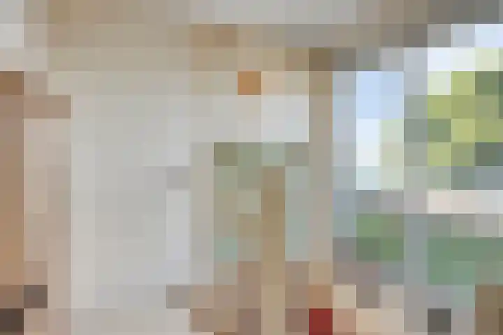Schutteheide 1 284 Heel thumbnail 21