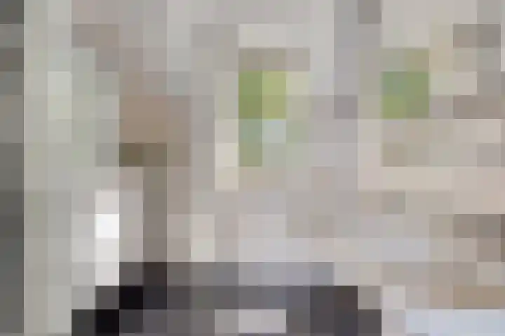 Schutteheide 1 284 Heel thumbnail 24