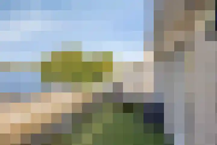 Schutteheide 1 284 Heel thumbnail 29