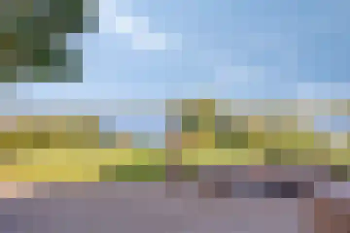Schutteheide 1 284 Heel thumbnail 32