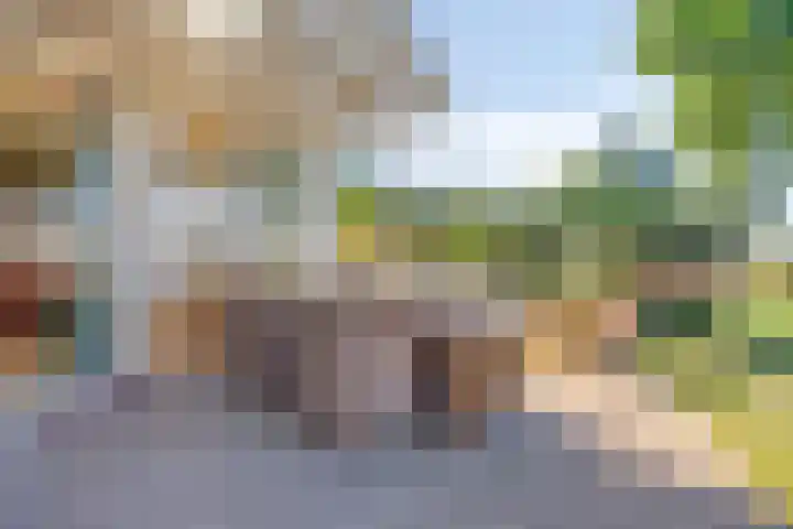 Schutteheide 1 284 Heel thumbnail 34