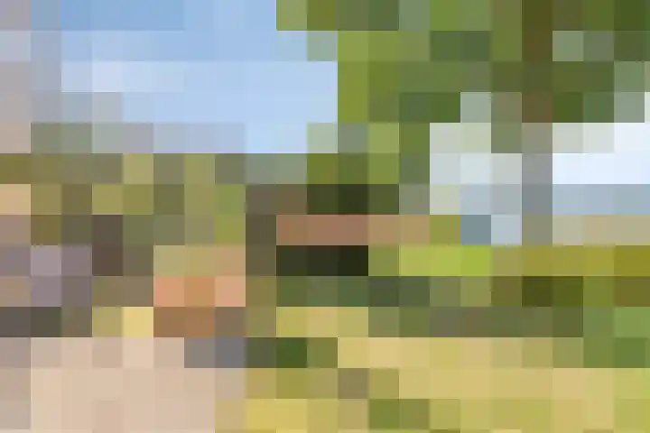 Schutteheide 1 284 Heel thumbnail 35