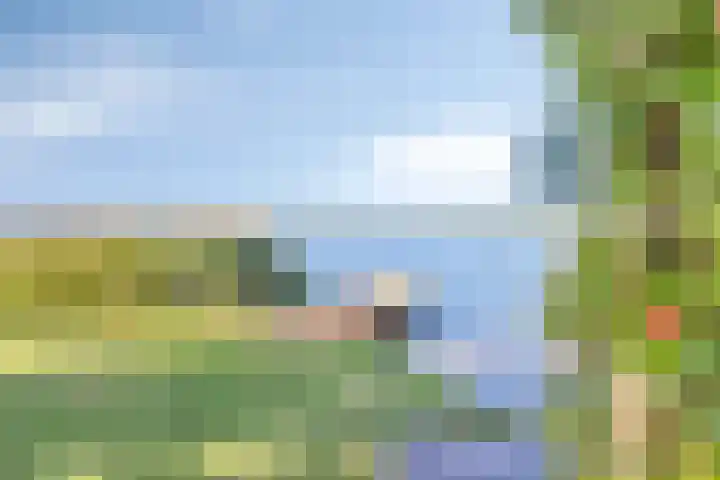 Schutteheide 1 284 Heel thumbnail 38